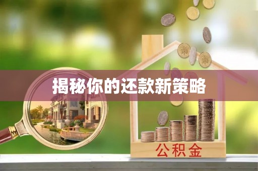 通榆揭秘你的还款新策略