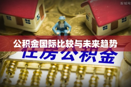通榆公积金国际比较与未来趋势