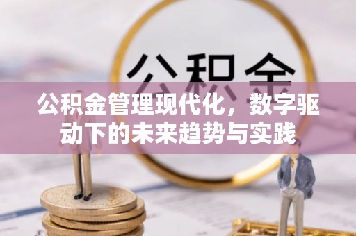 通榆公积金管理现代化，数字驱动下的未来趋势与实践