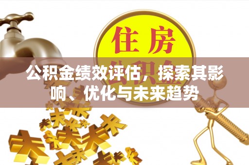 通榆公积金绩效评估，探索其影响、优化与未来趋势