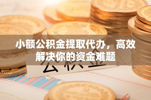 通榆小额公积金提取代办，高效解决你的资金难题