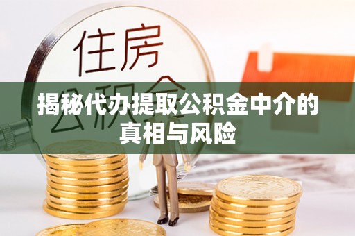 通榆揭秘代办提取公积金中介的真相与风险