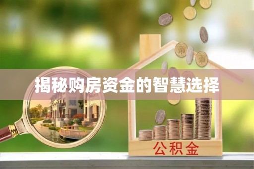 通榆揭秘购房资金的智慧选择