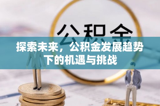 通榆探索未来，公积金发展趋势下的机遇与挑战
