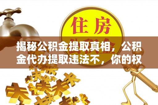 通榆揭秘公积金提取真相，公积金代办提取违法不，你的权益如何保障？