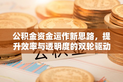 通榆公积金资金运作新思路，提升效率与透明度的双轮驱动