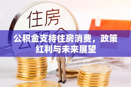 通榆公积金支持住房消费，政策红利与未来展望