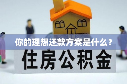 通榆你的理想还款方案是什么？