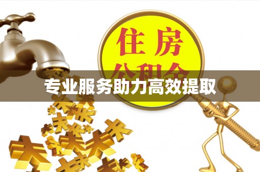 通榆专业服务助力高效提取